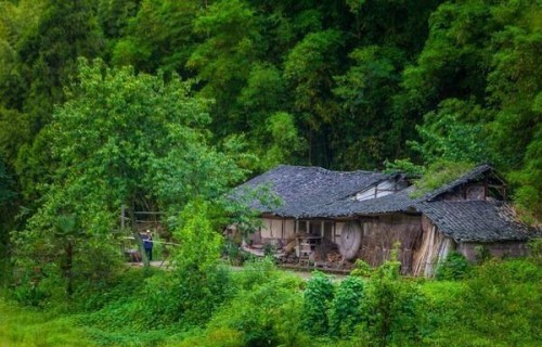 人只要能健康的活着，就比什么都好！