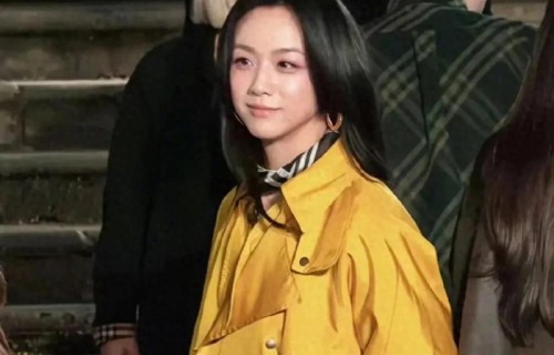 汤唯不只看了五遍哪吒,连手机壳都是藕饼[吃惊]|哪吒之魔童闹海|粉丝|明星|国产动画|影片