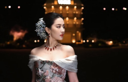 刘亦菲的粉丝团体“亦家人”主要是在支持她哪些方面的演艺事业？|公益|应援|数据|捐款|粉丝会