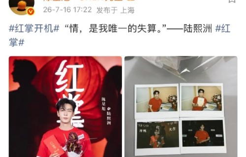 《红掌》预计何时播出？主演有哪些？