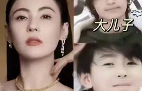 张柏芝把仨儿子安排的很明白:老大豪宅,老二房产,老三信托