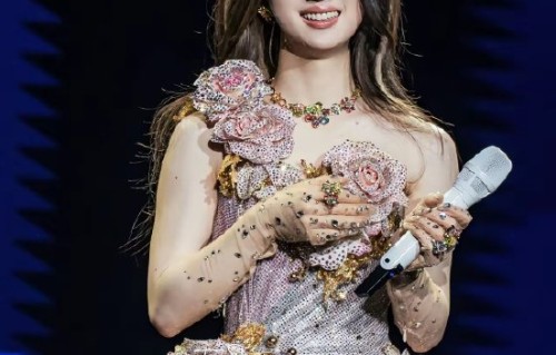 此次版权风波对单依纯后续的演艺事业有哪些具体影响？