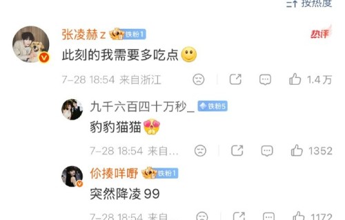 张凌赫粉丝对王楚然的真实态度是什么？