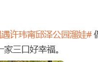 邱泽夫妻公园遛娃！调皮将儿子举过头顶，许玮甯单手叉腰一脸担忧 