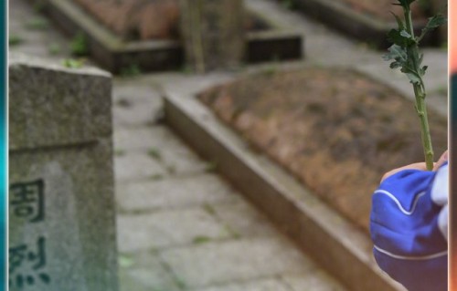 许嵩《清明雨上》唱响长沙夜色|播放器|最爱|烟火|晚安