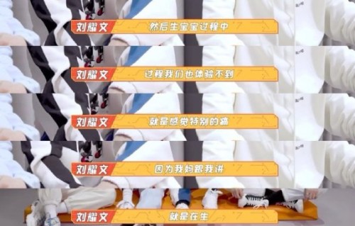 粉丝群体如何解读和传播“连风都在偏爱刘耀文”这一说法？