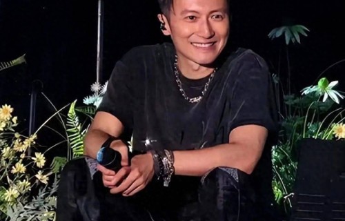 谢霆锋俩儿子现身演唱会坐观众席助威，小儿子神似张柏芝 - 360娱乐|吕良伟|奚梦瑶|任达华|高海宁|欧阳震华