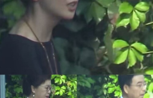 离婚等于没离？佟丽娅带妈妈见前公公|陈思诚|儿子|父亲|父母|前夫