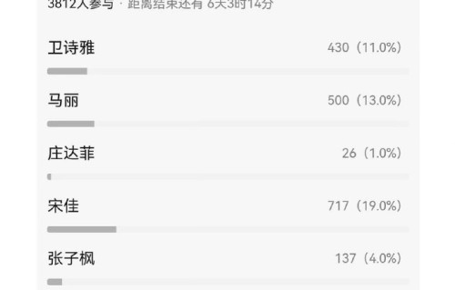 高叶为什么不是最终入选的那个人？
