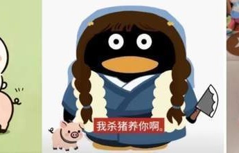 “杀猪夫妇”，治好了我的古偶审美疲劳