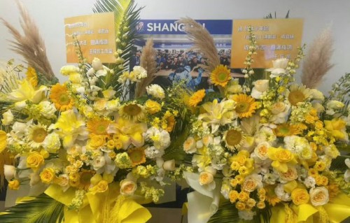 TFBOYS送花篮是否暗示三人将再次合体？