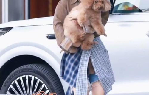 杨紫现身机场，怀抱爱犬piupiu与影迷打招呼，网友：狗狗太萌了