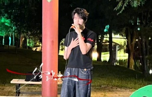 公园偶遇唱的好听完整版《可可托海的牧羊人》