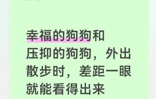 幸福的狗狗和压抑的狗狗，外出散步时，差距一眼就能看得出来