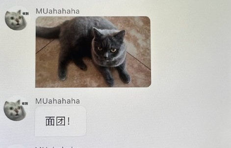 穆祉丞在泡泡上最新分享的自拍和日常具体是什么内容？