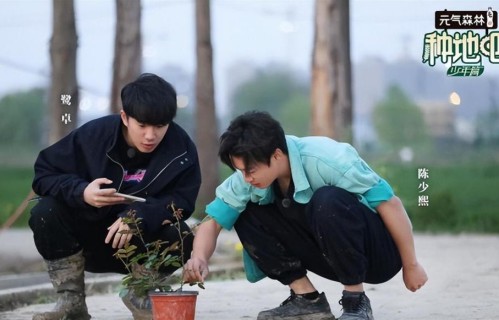 鹭卓发长文致歉，因直播表述不清引发误会，态度真诚获得粉丝谅解