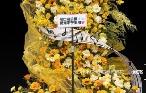 除了无人机，刘宇宁南京演唱会还有哪些特别的粉丝应援方式？|巡演|花篮|主题|情感