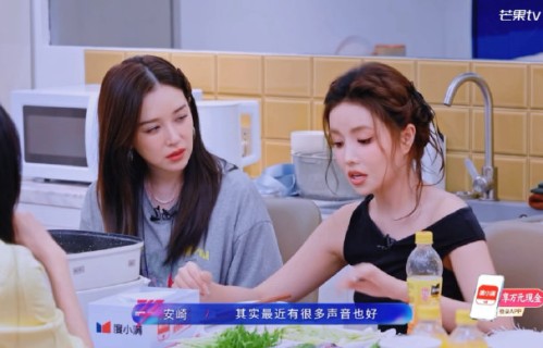 安崎买《说话的艺术》引热议：实力派说话不中听，就该被骂？