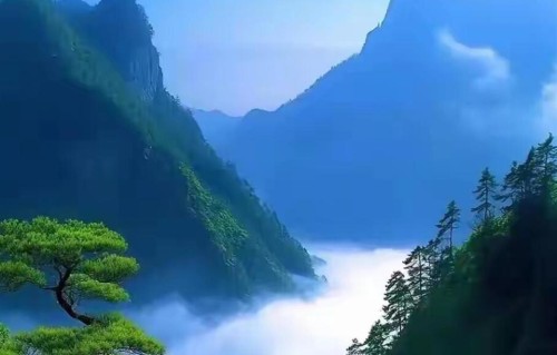 老了才明白：人生也就是三件事，忙完了也该散场了，你细品吧！