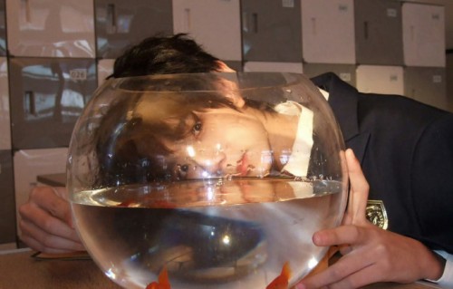 粉丝为什么把金鱼照称为超不经意情头？