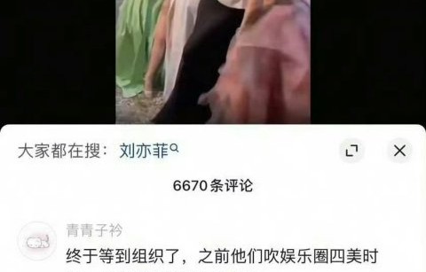 刘亦菲国外形象为何呈现“双面性”？