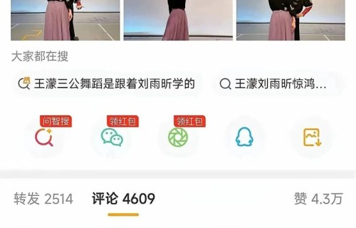 刘雨昕教王濛跳三公舞,画面太好嗑