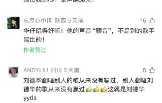 歌手原创和翻唱哪个更能体现才华？|浪子心声|刘德华|音乐|经典|巡演