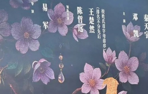 《浮生》剧组宣发使用陈哲远单人封面，王楚然粉丝为何认为这违反了平番协议？