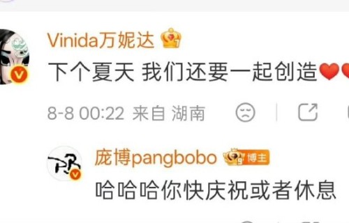 庞博评价万妮达《排尾后巷》用了哪些金句？