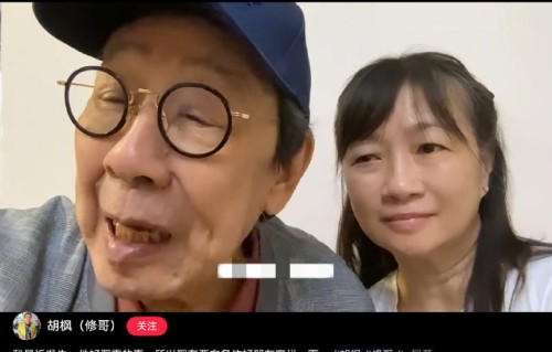 胡枫的演艺经历有哪些？