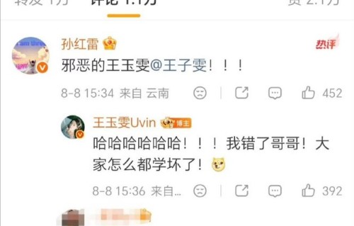 网友如何评价孙红雷艾特错王玉雯这波互动？