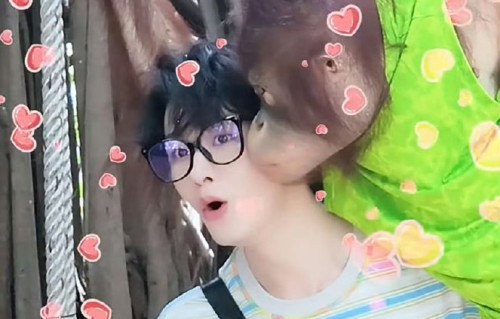 田嘉瑞在动物园被猴子“强吻”的具体情况是怎样的？