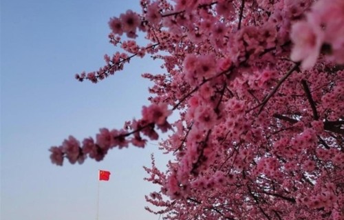 人到晚年才悟透：婚姻最真切的模样，是拌嘴没离，相守一世却不腻