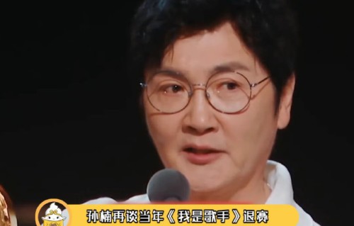 孙楠2015年退赛事件对他后续的职业生涯造成了哪些影响？