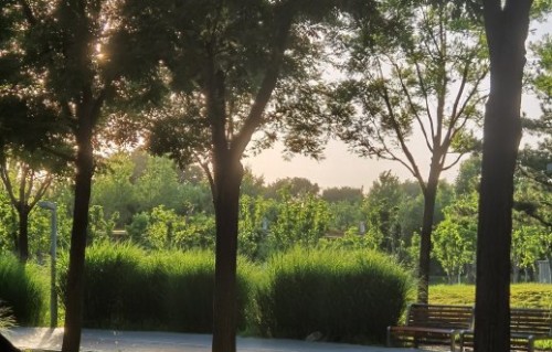 周星驰以后还会出演电影吗？