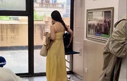 霍思燕杜江陕西偶遇：全网惊艳，宠物圈传奇夫妻为何这么受欢迎