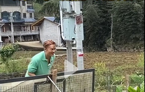 明星吴克群100元想买大爷手里的菜 连遭拒绝：拿去喂猪也不卖给你