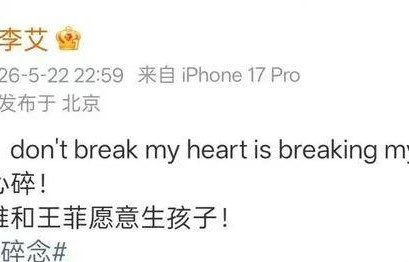 王菲幸亏生了窦靖童|Don't break my heart|Don't Break My|窦唯|那英|李艾