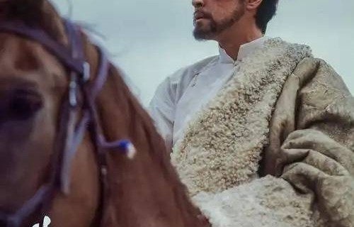 追电视剧《生命树》，为什么总让我热泪盈眶