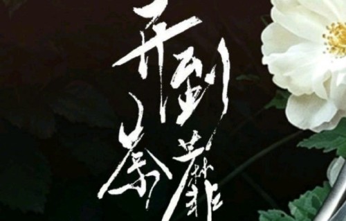 《开到荼蘼》的播出时间|目之所及|吕赢|创新品质剧|白鹿|肖战