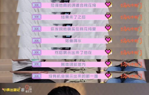 徐志胜称贺峻霖桃花坞如鱼得水,萧敬腾化妆师青睐王子奇