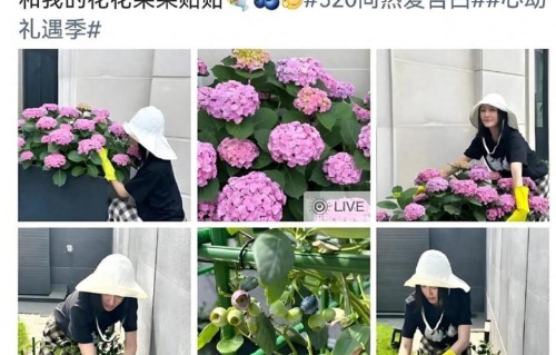 46岁秦岚戴手套蹲地养花摘蓝莓，素颜照惊呆网友，太让人羡慕了！