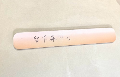 在《歌手2026》中，张远为了争取安可资格进行了怎样的拉票活动？