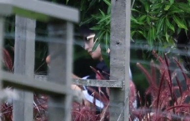 昆凌和王俊凯的“鸡蛋主理人”梗是怎么来的？