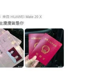 赵本山女儿赵珈萱官宣结婚 晒结婚证浪漫表白_球球_男友_小陈|单身生活|情人节|领证|婚礼|求婚