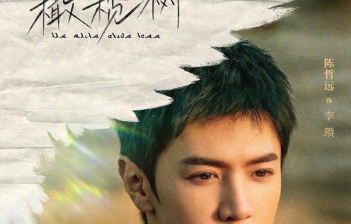 零宣发空降，正片跳票，云包场竟被改到2099年！这剧翻车打了谁的脸