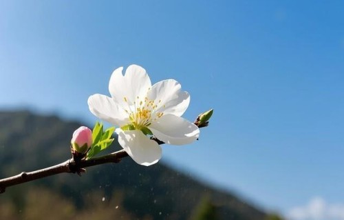 夫妻之间的因果，谁也躲不过：今生的丈夫，前世原来是你的谁