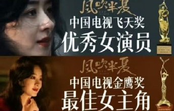 是谁更换了赵丽颖的提名VCR片段