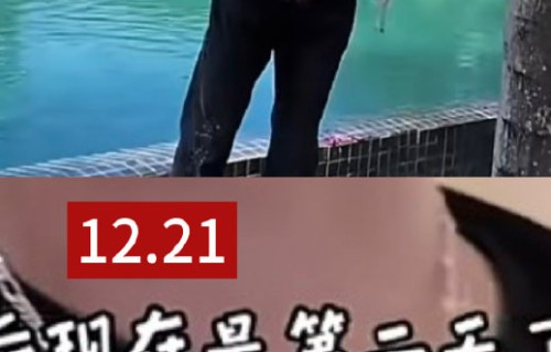 公司为什么要求下架同款联名商品？|王橹杰|穆祉丞|橹穆|项链|粉丝