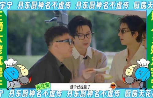 网友如何看待“嫁人当嫁刘宇宁”这个梗？